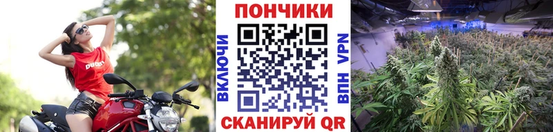 ссылка на мегу вход  Знаменск  МАРИХУАНА Amnesia 